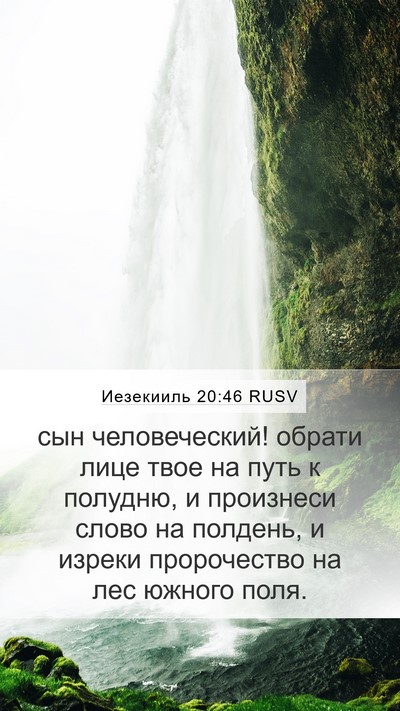 Иезекииль 20:46 RUSV Bible Verse Image