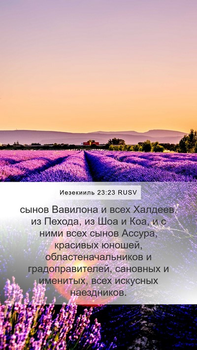 Иезекииль 23:23 RUSV Bible Verse Image