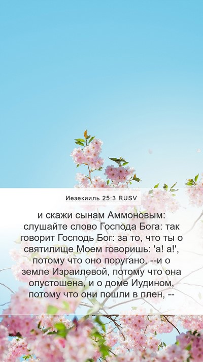 Иезекииль 25:3 RUSV Bible Verse Image