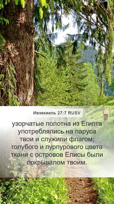 Иезекииль 27:7 RUSV Bible Verse Image