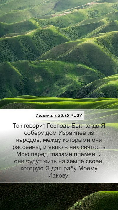 Иезекииль 28:25 RUSV Bible Verse Image