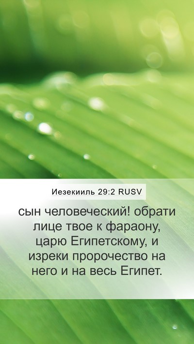 Иезекииль 29:2 RUSV Bible Verse Image