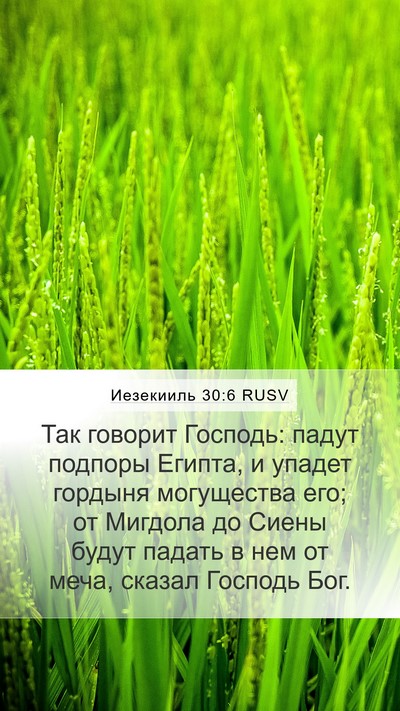 Иезекииль 30:6 RUSV Bible Verse Image