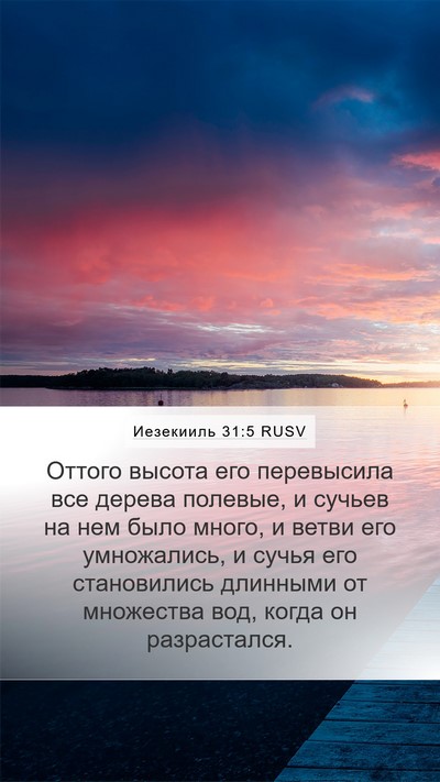 Иезекииль 31:5 RUSV Mobile Phone Wallpaper - Оттого высота его - Mobile Bible Verse Wallpaper