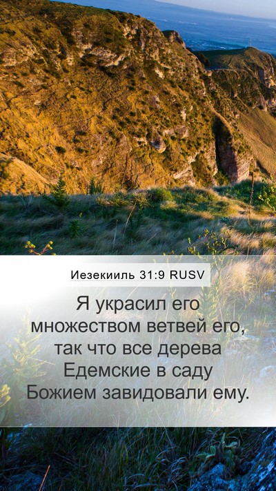 Иезекииль 31:9 RUSV Bible Verse Image