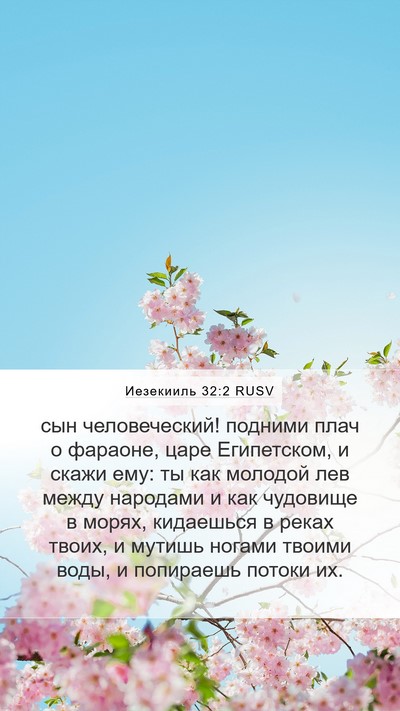 Иезекииль 32:2 RUSV Bible Verse Image