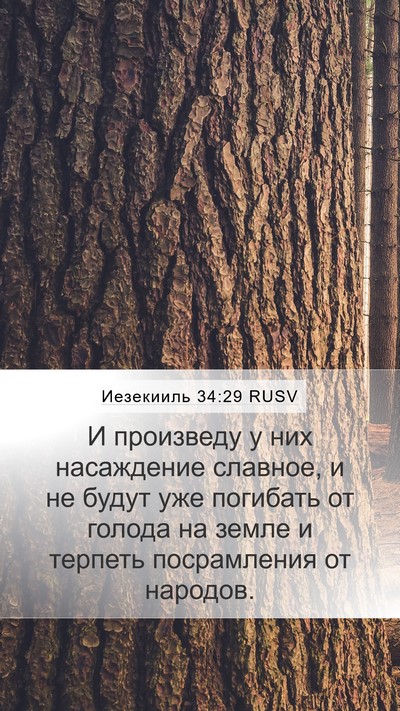 Иезекииль 34:29 RUSV Bible Verse Image