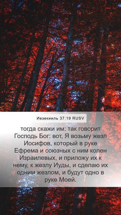 Иезекииль 37:19 RUSV Bible Verse Image