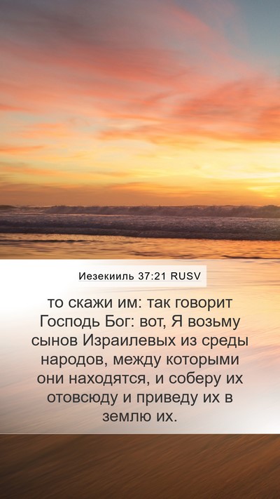 Иезекииль 37:21 RUSV Bible Verse Image
