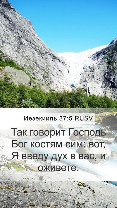 Иезекииль 37:5 RUSV Bible Verse Image