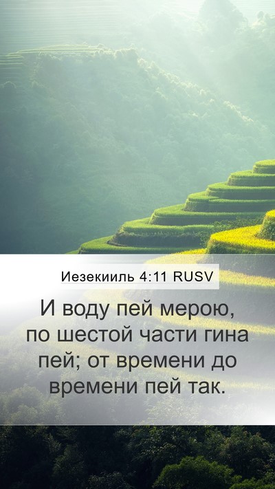 Иезекииль 4:11 RUSV Bible Verse Image