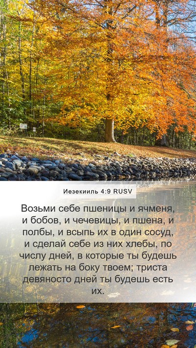 Иезекииль 4:9 RUSV Bible Verse Image