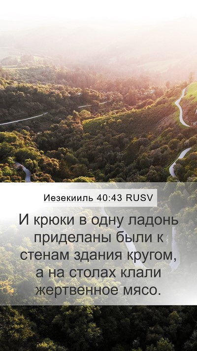 Иезекииль 40:43 RUSV Mobile Phone Wallpaper - И крюки в одну ладонь - Mobile Bible Verse Wallpaper