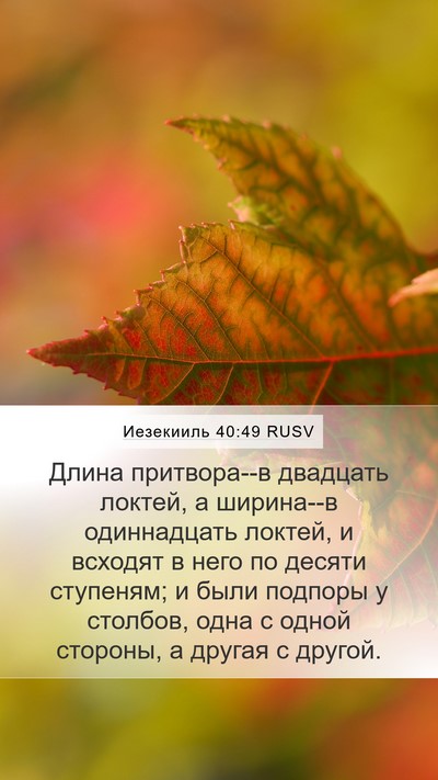 Иезекииль 40:49 RUSV Bible Verse Image