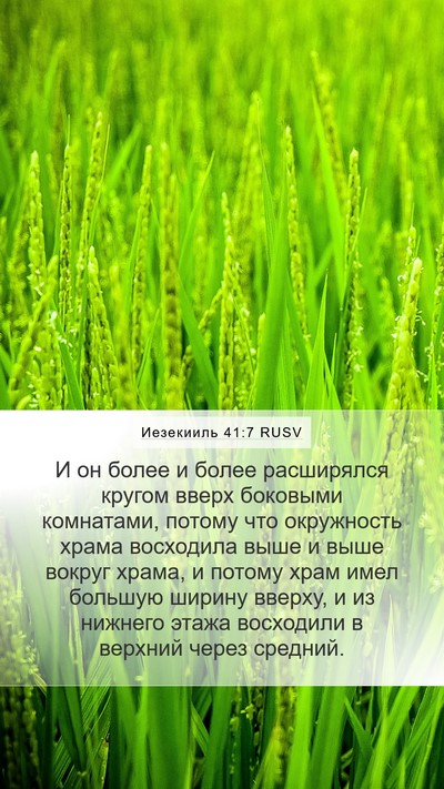 Иезекииль 41:7 RUSV Bible Verse Image