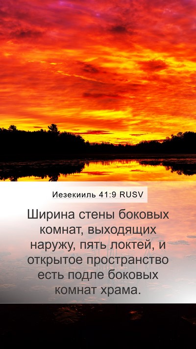 Иезекииль 41:9 RUSV Bible Verse Image