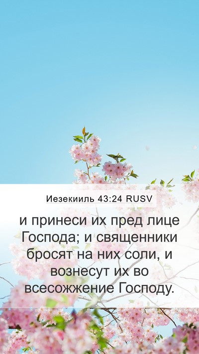 Иезекииль 43:24 RUSV Mobile Phone Wallpaper - и принеси их пред лице - Mobile Bible Verse Wallpaper