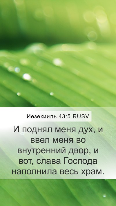 Иезекииль 43:5 RUSV Bible Verse Image