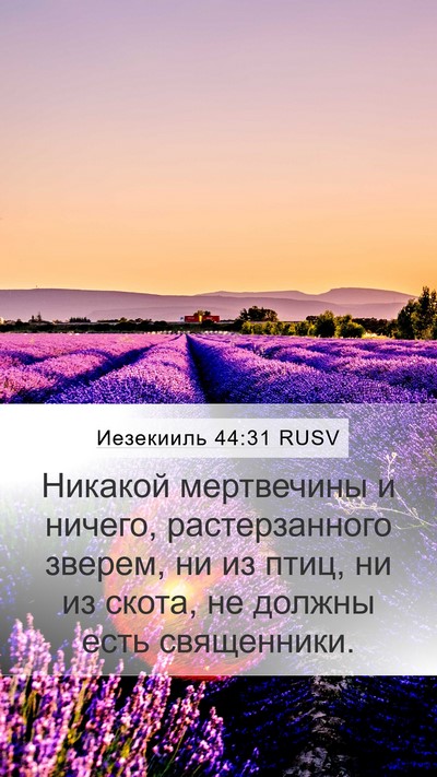 Иезекииль 44:31 RUSV Bible Verse Image