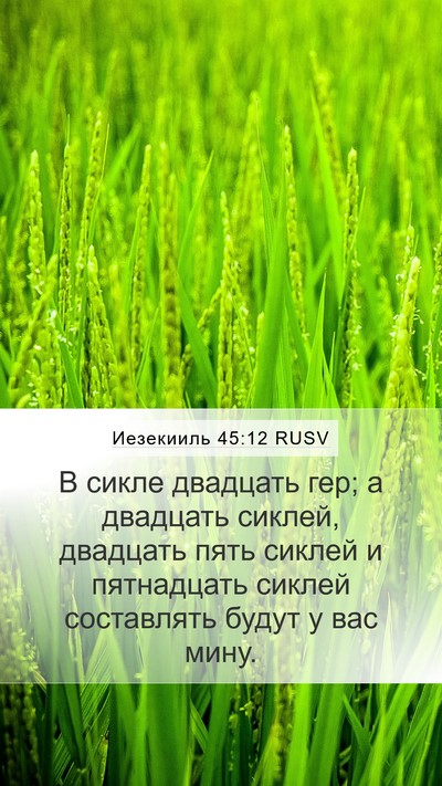 Иезекииль 45:12 RUSV Bible Verse Image