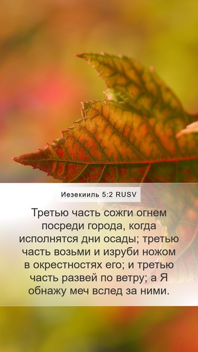 Иезекииль 5:2 RUSV Bible Verse Image