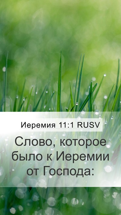 Иеремия 11:1 RUSV Mobile Phone Wallpaper - Слово, которое было к - Mobile Bible Verse Wallpaper