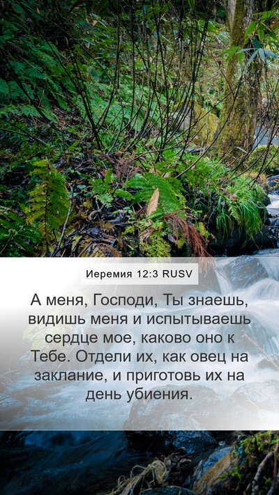 Иеремия 12:3 RUSV Bible Verse Image