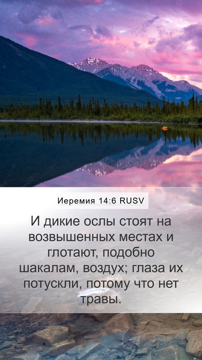 Иеремия 14:6 RUSV Bible Verse Image
