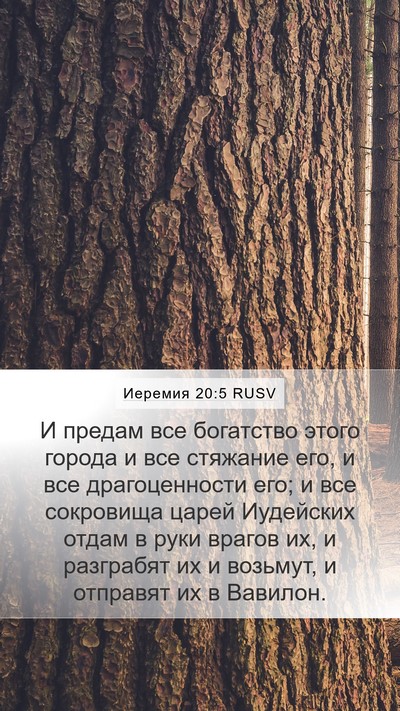 Иеремия 20:5 RUSV Bible Verse Image