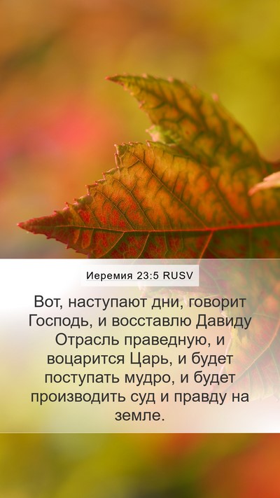 Иеремия 23:5 RUSV Bible Verse Image