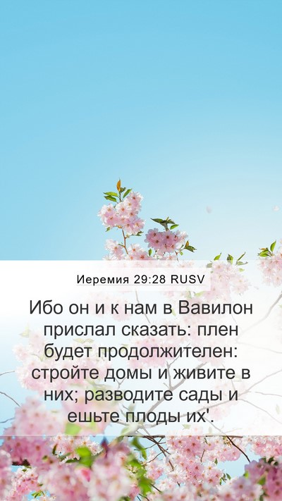 Иеремия 29:28 RUSV Bible Verse Image