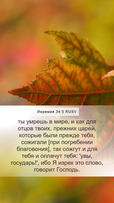 Иеремия 34:5 RUSV Bible Verse Image