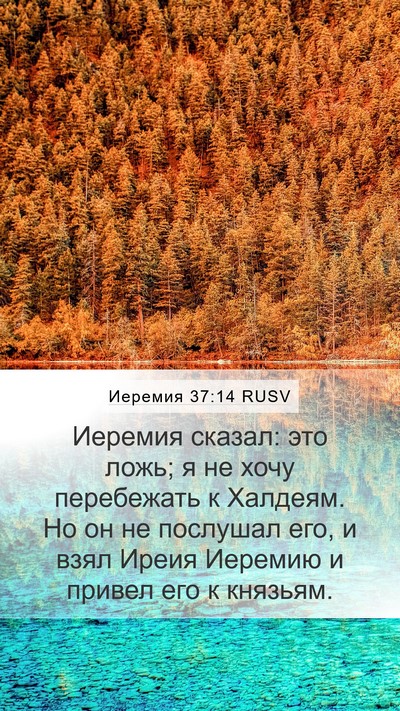 Иеремия 37:14 RUSV Bible Verse Image