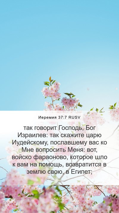 Иеремия 37:7 RUSV Bible Verse Image