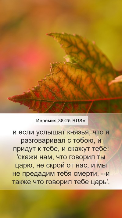 Иеремия 38:25 RUSV Bible Verse Image