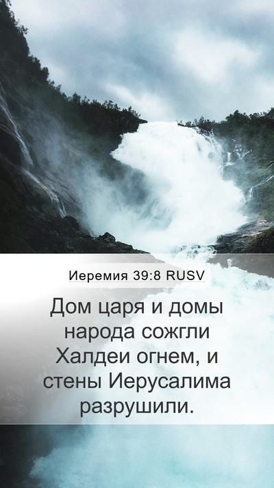 Иеремия 39:8 RUSV Bible Verse Image