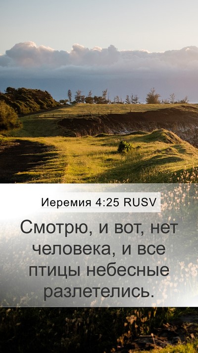 Иеремия 4:25 RUSV Bible Verse Image
