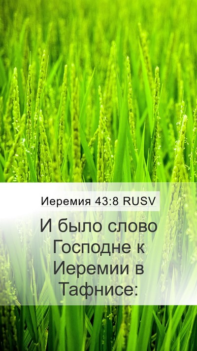 Иеремия 43:8 RUSV Bible Verse Image