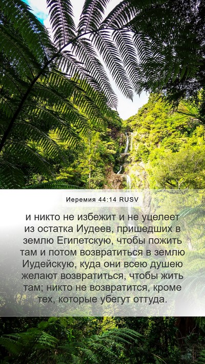 Иеремия 44:14 RUSV Bible Verse Image