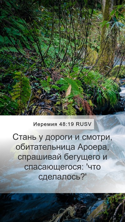 Иеремия 48:19 RUSV Mobile Phone Wallpaper - Стань у дороги и смотри, - Mobile Bible Verse Wallpaper