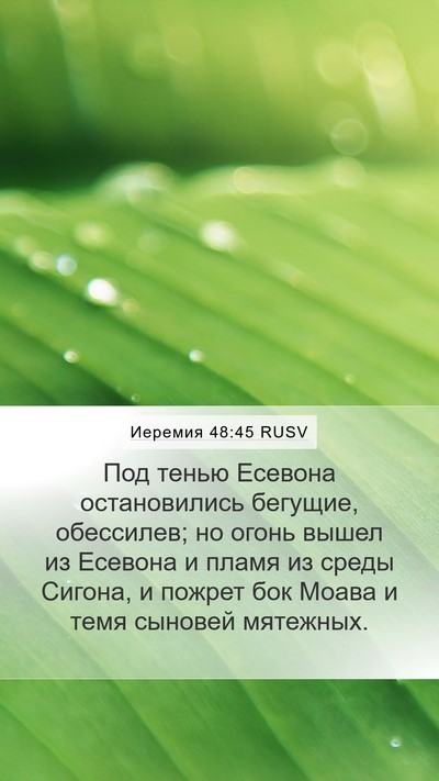 Иеремия 48:45 RUSV Bible Verse Image