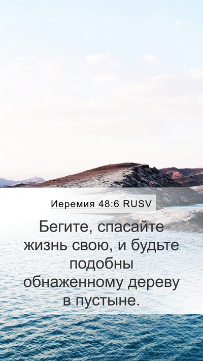 Иеремия 48:6 RUSV Bible Verse Image