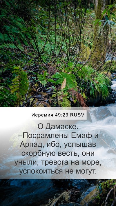 Иеремия 49:23 RUSV Bible Verse Image