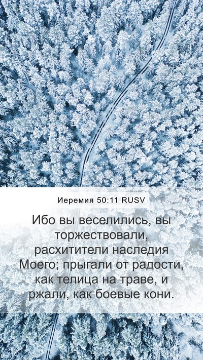 Иеремия 50:11 RUSV Mobile Phone Wallpaper - Ибо вы веселились, вы - Mobile Bible Verse Wallpaper