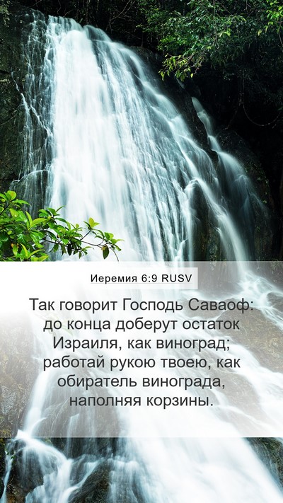 Иеремия 6:9 RUSV Mobile Phone Wallpaper - Так говорит Господь - Mobile Bible Verse Wallpaper