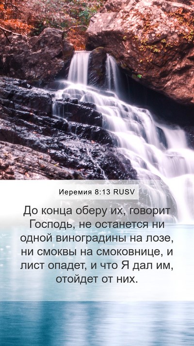 Иеремия 8:13 RUSV Mobile Phone Wallpaper - До конца оберу их, говорит - Mobile Bible Verse Wallpaper