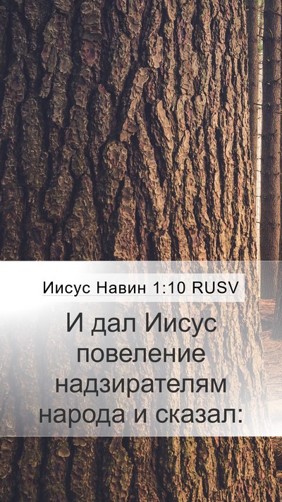 Иисус Навин 1:10 RUSV Bible Verse Image