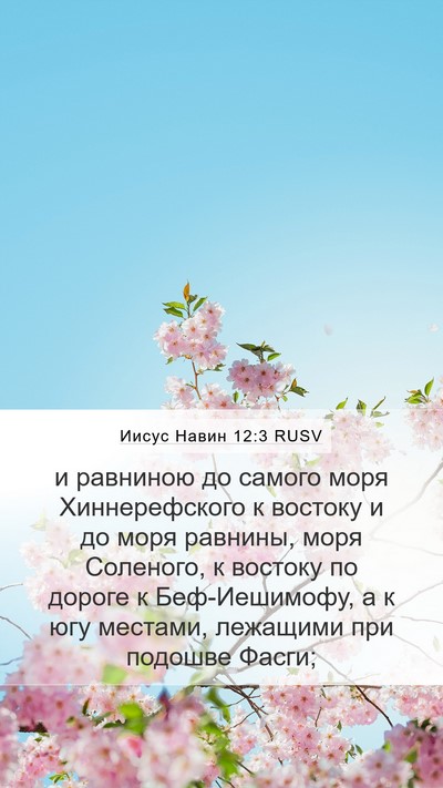 Иисус Навин 12:3 RUSV Bible Verse Image
