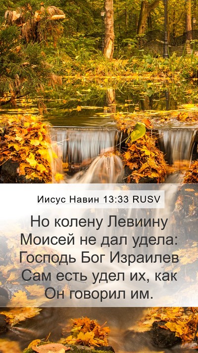 Иисус Навин 13:33 RUSV Bible Verse Image