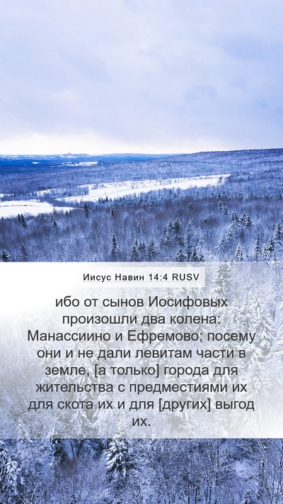 Иисус Навин 14:4 RUSV Bible Verse Image
